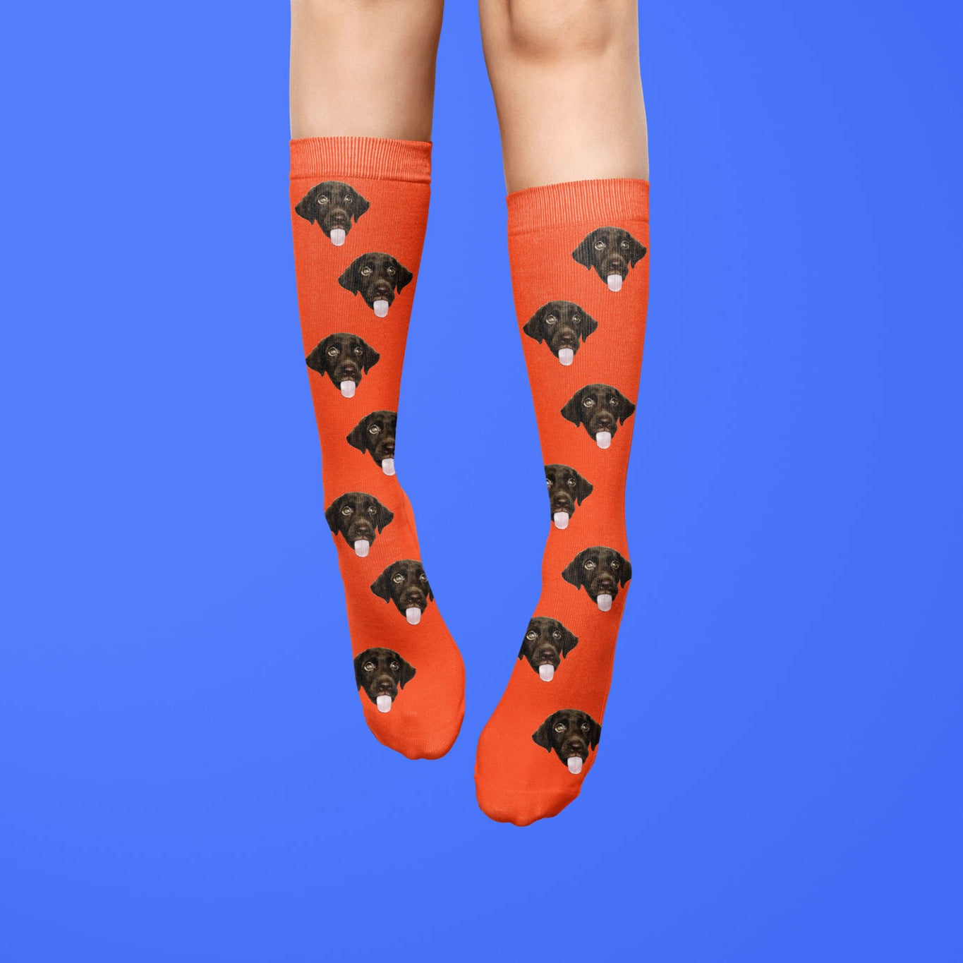 Halloween 2024 dog socks