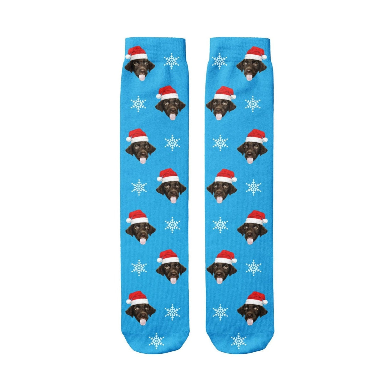 Dog Santa Socks