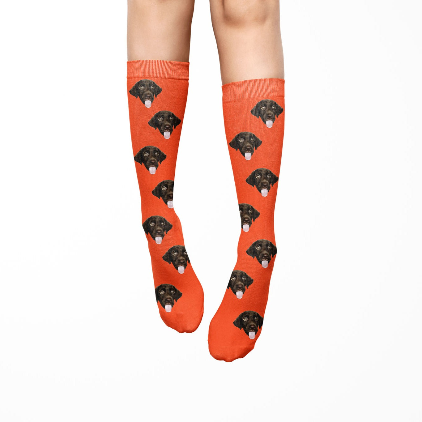 Dog Socks Socks