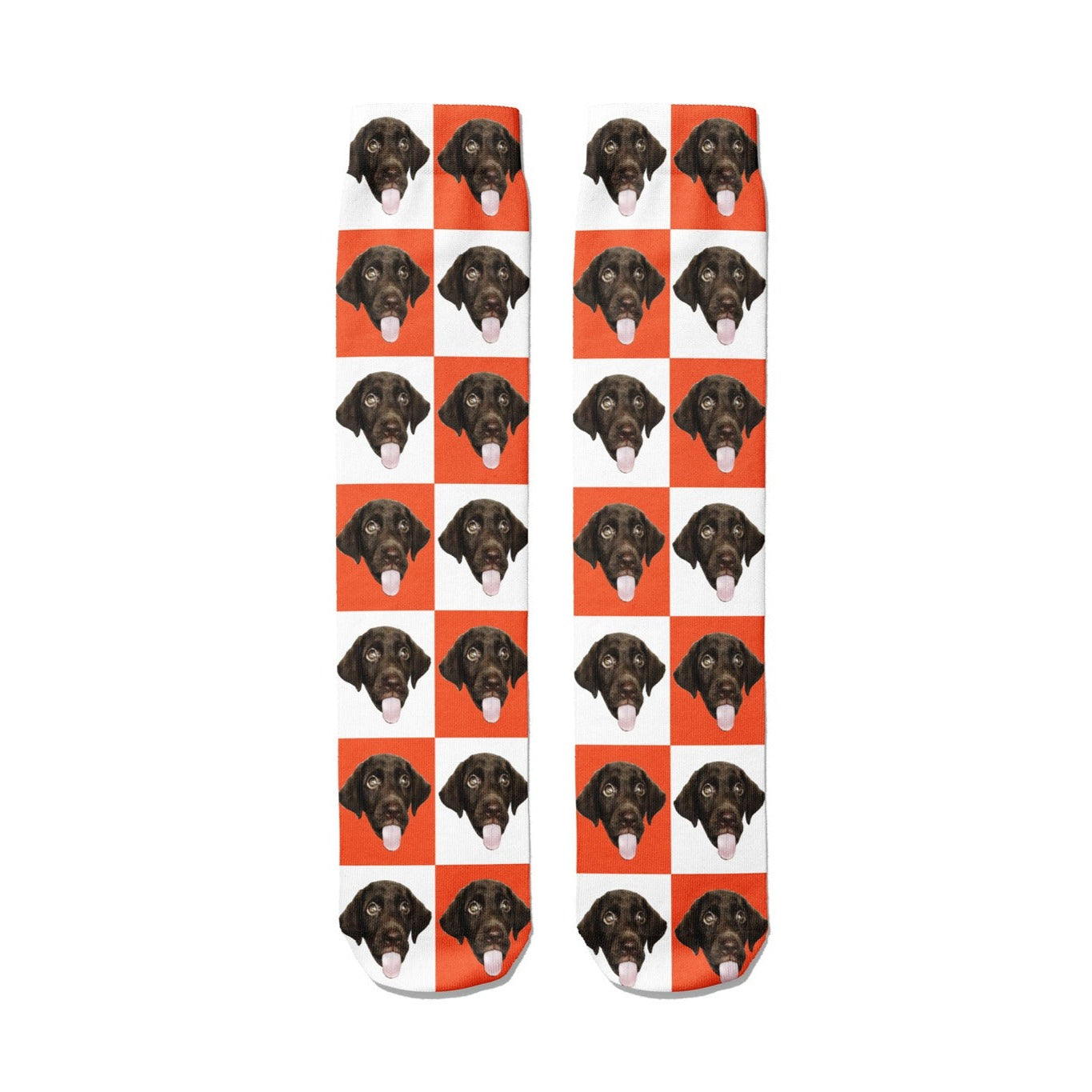 Chequered Dog Socks