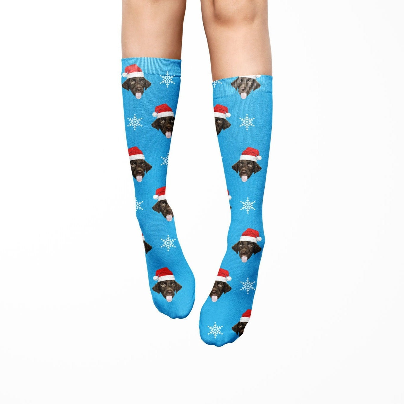 Dog Santa Socks