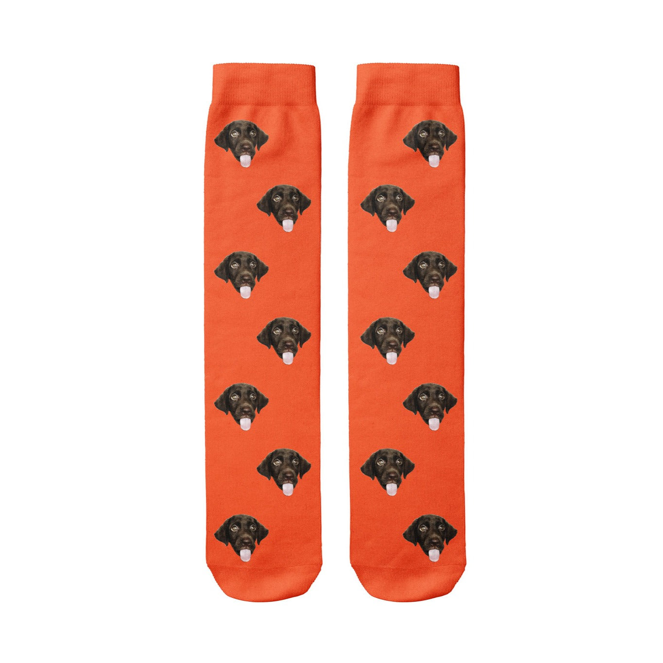 Dog Socks Socks