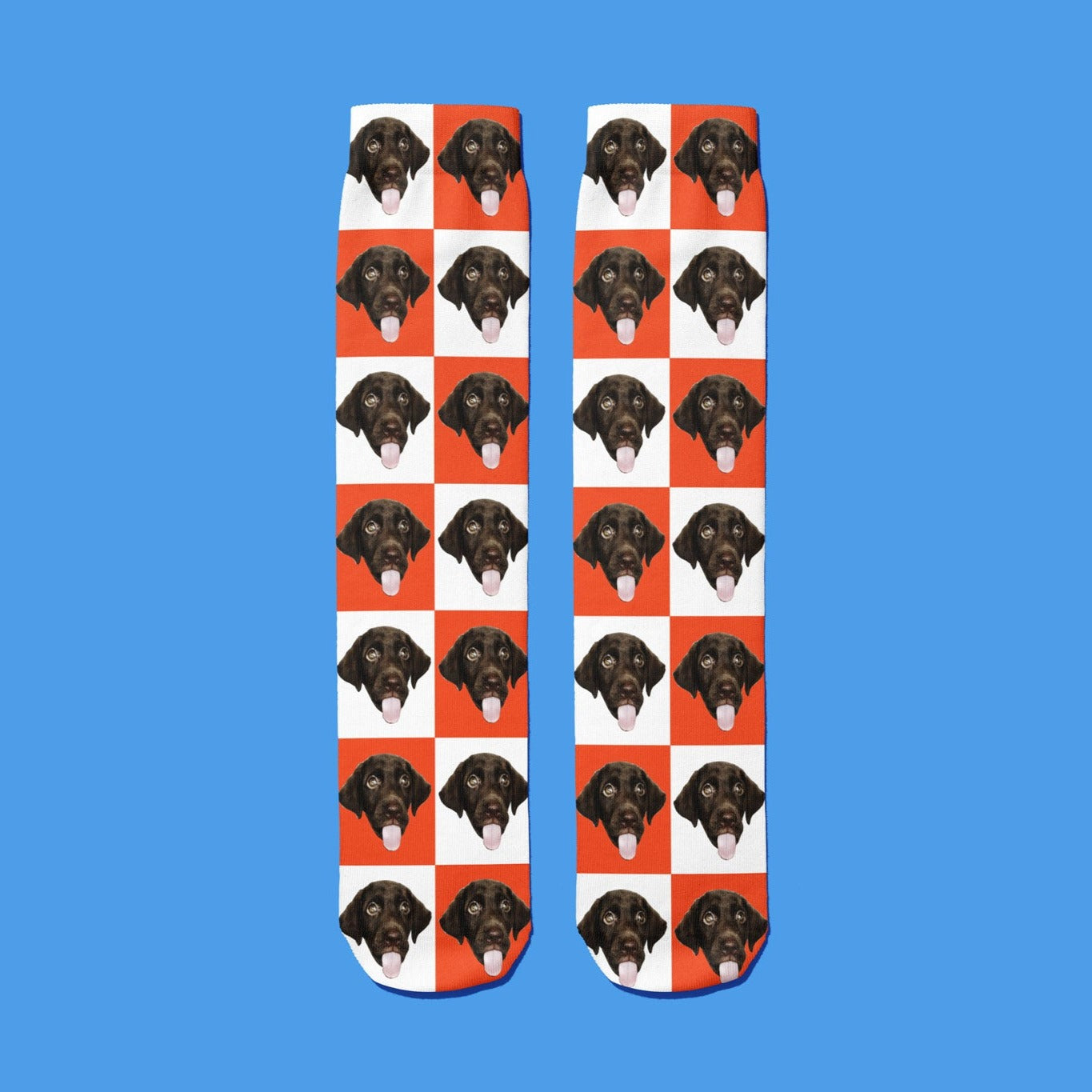 Chequered Dog Socks