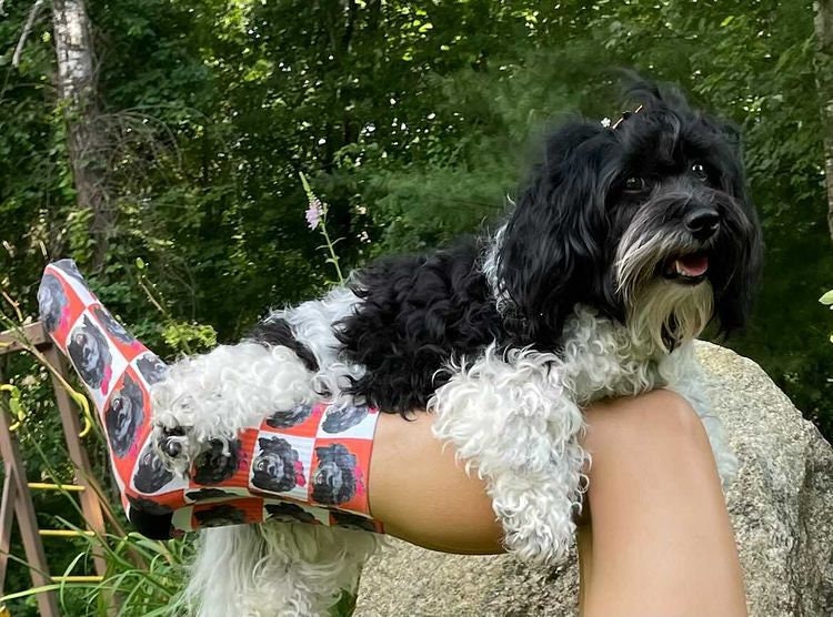 Red Heart Pattern Socks